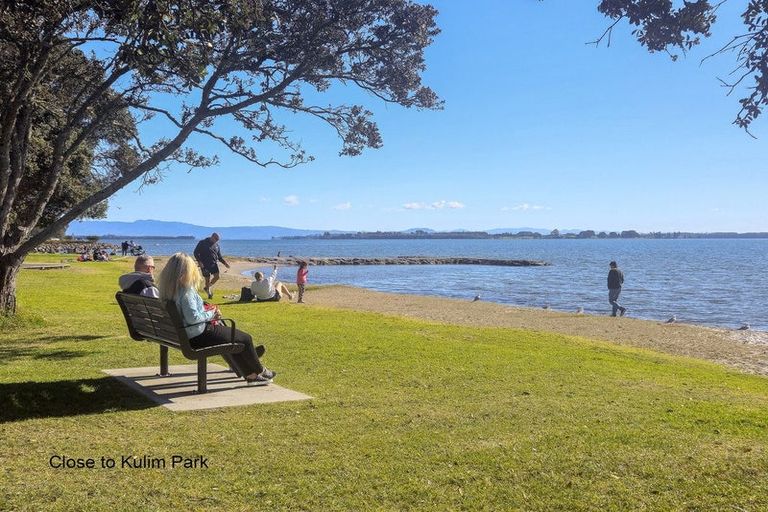 Photo of property in 115a Chapel Street, Otumoetai, Tauranga, 3110
