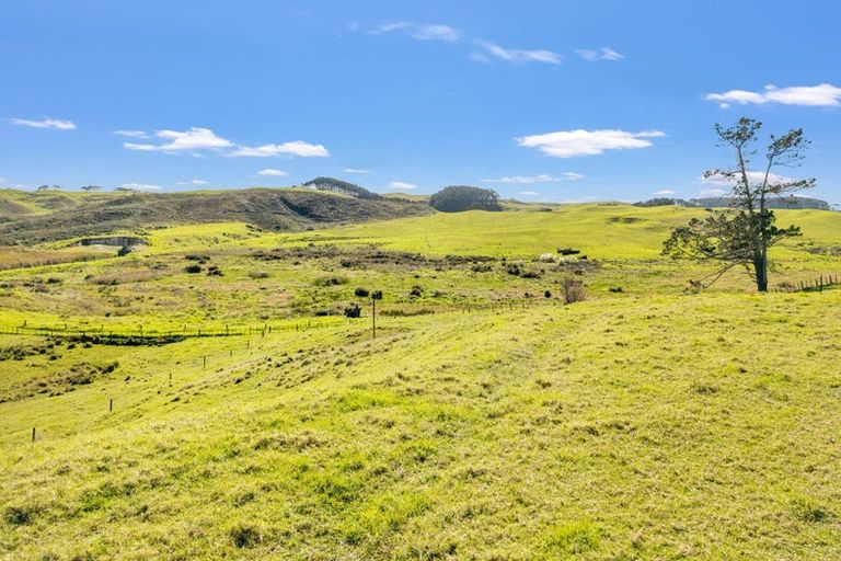Photo of property in 402 Baylys Coast Road, Dargaville, 0377