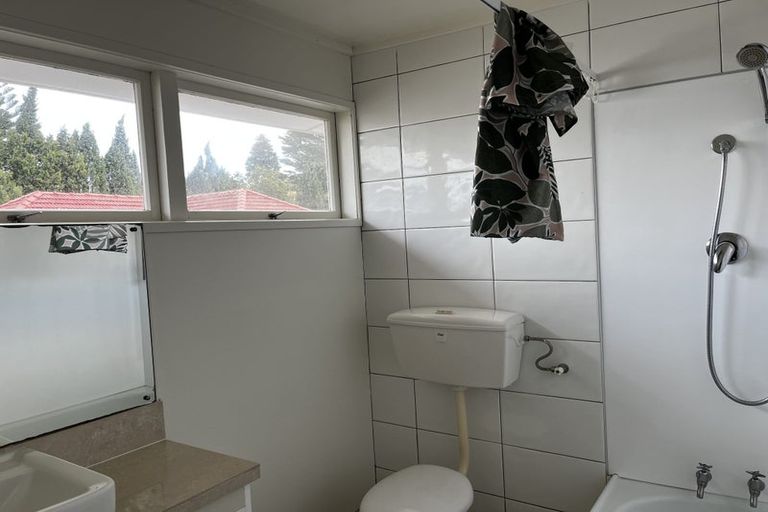 Photo of property in 52 Buscomb Avenue, Henderson, Auckland, 0610