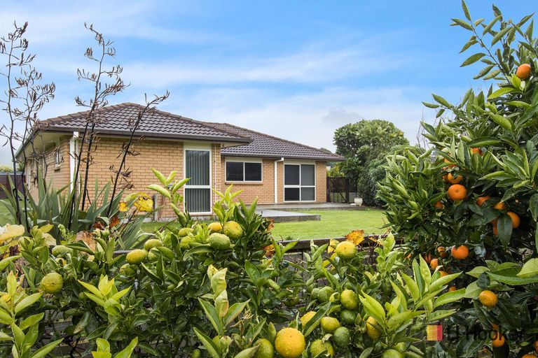 Photo of property in 99b Citrus Avenue, Waihi Beach, 3611