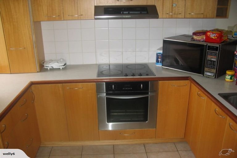 Photo of property in 191 Tasman Street, Mount Cook, Wellington, 6021