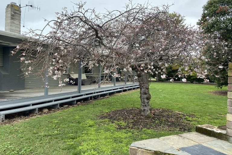 Photo of property in 21 Scarrott Road, Bay View, Napier, 4104