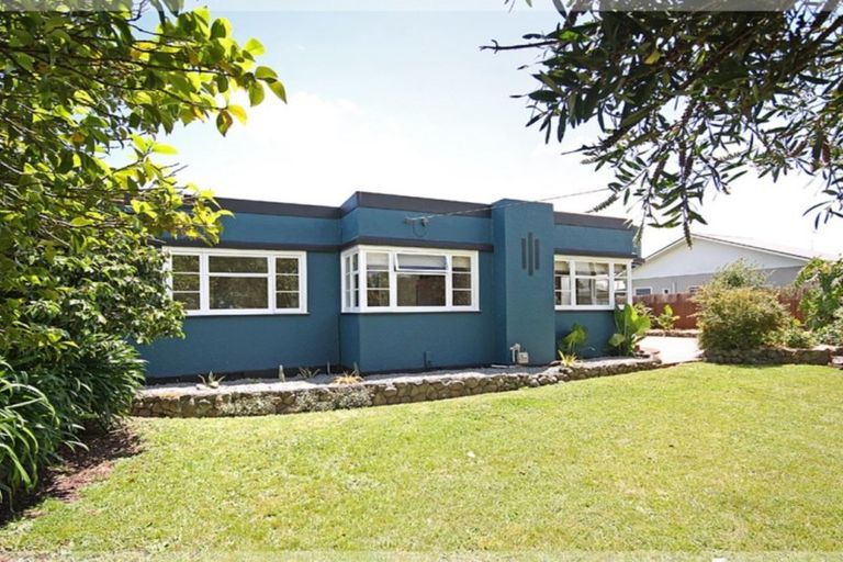 Photo of property in 42 Mckenzie Street, Levin, 5510