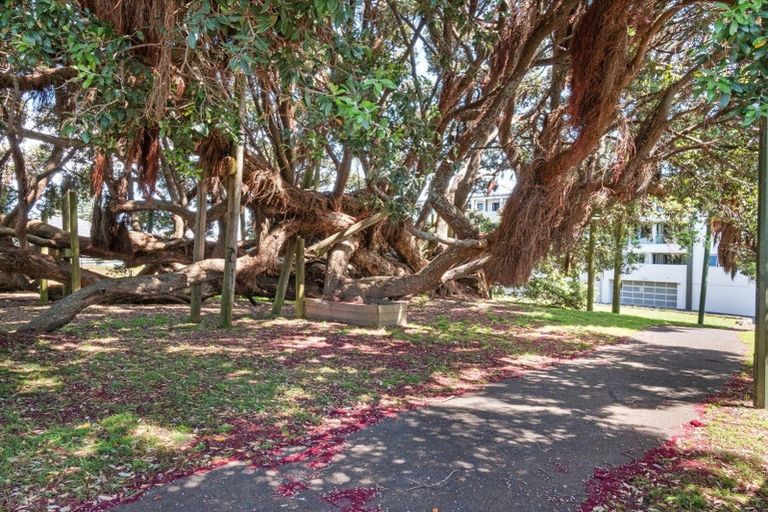 Photo of property in 25/281 Maunganui Road, Mount Maunganui, 3116