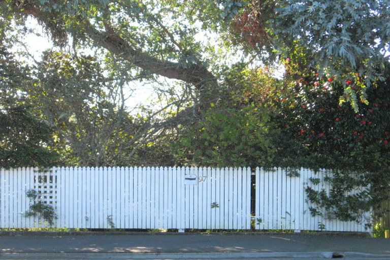 Photo of property in 97 Naylor Street, Hamilton East, Hamilton, 3216