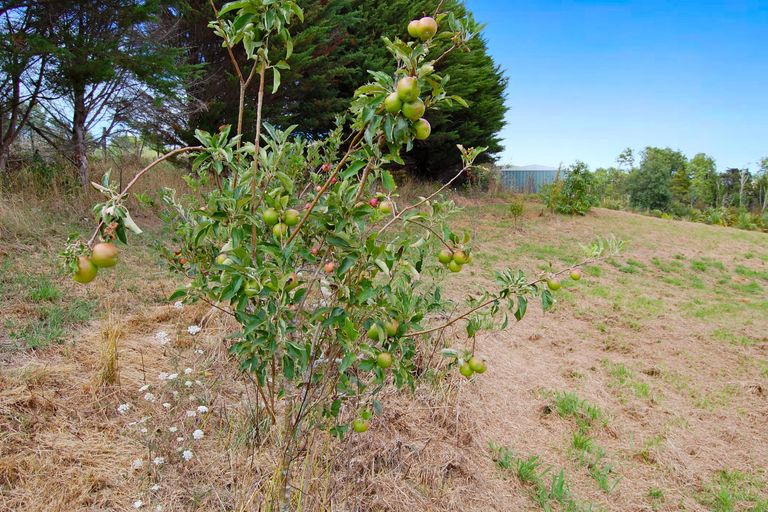 Photo of property in 306d Oneriri Road, Kaiwaka, 0573
