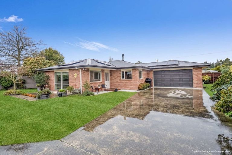 Photo of property in 20a Robinson Street, Rakaia, 7710