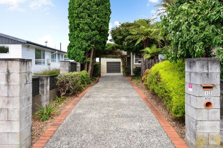 Photo of property in 12 Carlyle Avenue, Chartwell, Hamilton, 3210