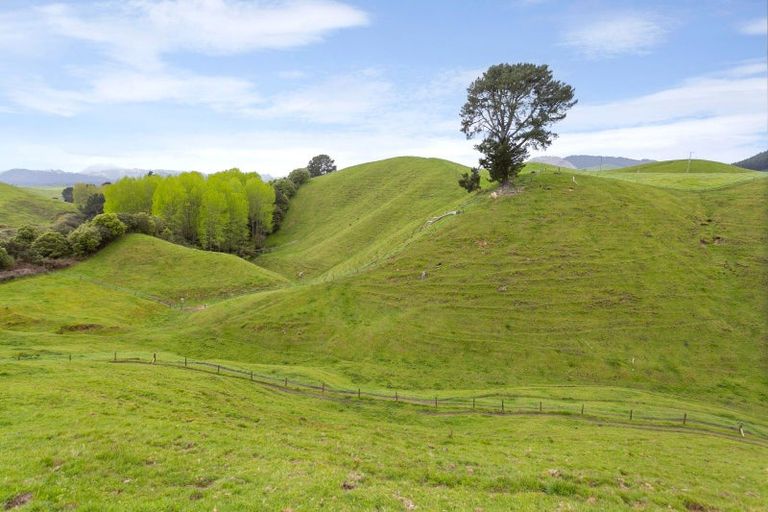 Photo of property in 1901 Tutukau Road, Ohakuri, Reporoa, 3083