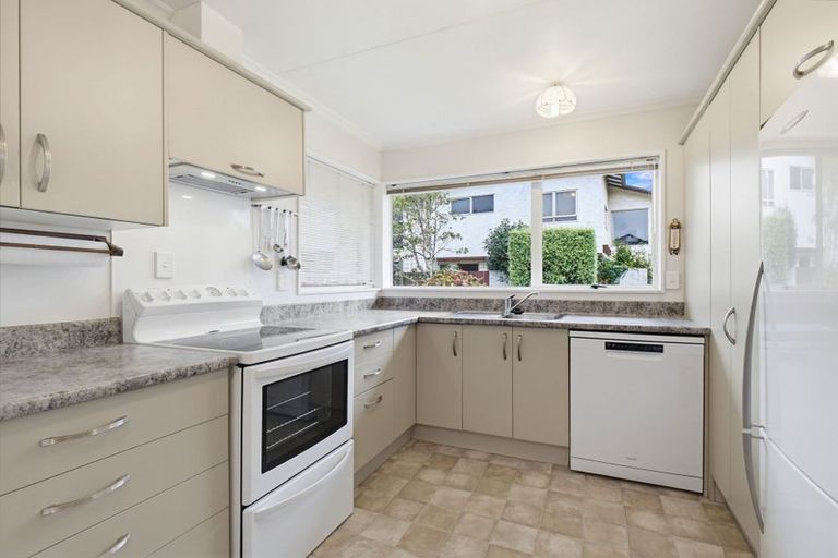Photo of property in 45 Dittmer Drive, Awapuni, Palmerston North, 4412