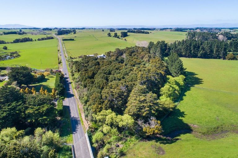 Photo of property in 499 Sandon Road, Feilding, 4779