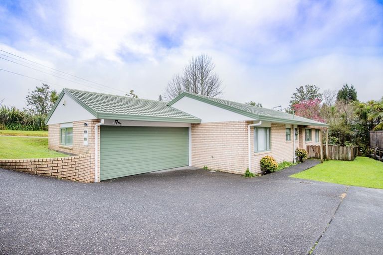 Photo of property in 119a Hutchinson Avenue, New Lynn, Auckland, 0600