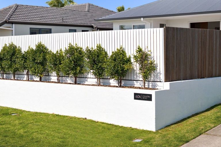 Photo of property in 60a Campbell Road, Mount Maunganui, 3116