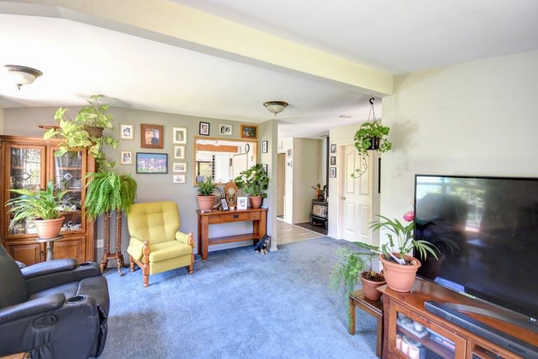 Photo of property in 38 Formby Street, Outram, 9019