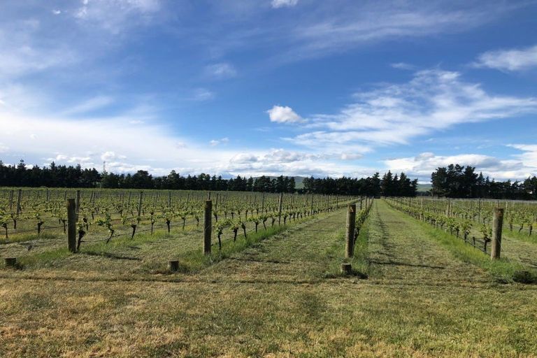 Photo of property in 246 Georges Road, Glasnevin, Amberley, 7482