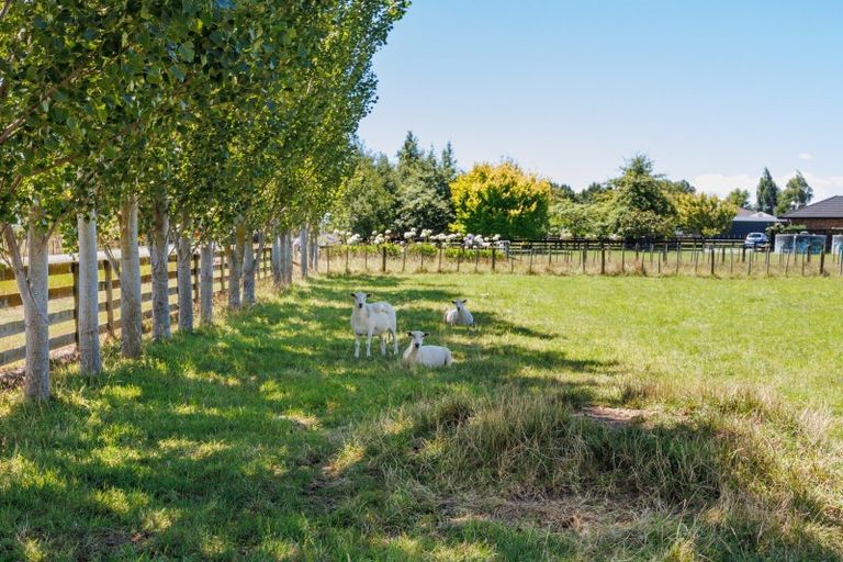 Photo of property in 572 Taonui Road, Colyton, Feilding, 4775