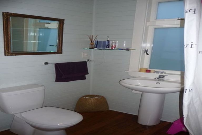 Photo of property in 41a Mccoll Street, Vogeltown, Wellington, 6021