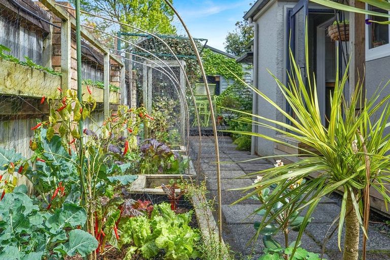 Photo of property in 24 Casey Avenue, Fairfield, Hamilton, 3214