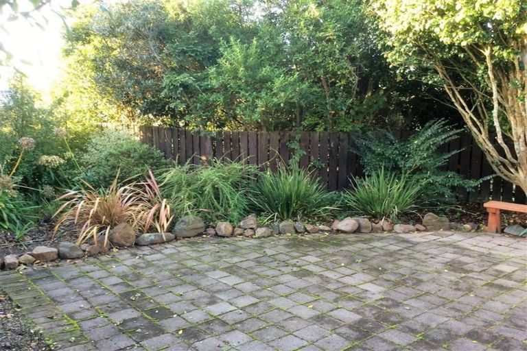 Photo of property in 19 Bankwood Road, Chartwell, Hamilton, 3210