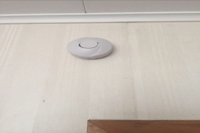 Photo of property in 103 Nixon Street, Hamilton East, Hamilton, 3216