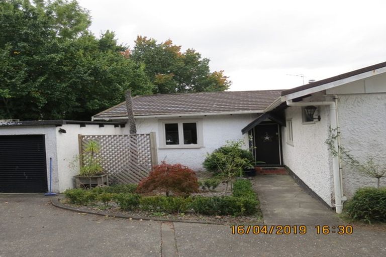 Photo of property in 19 Greenwood Road, Havelock North, 4130