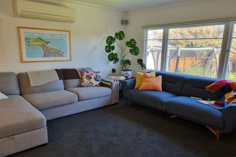Photo of property in 49a Campbell Road, Mount Maunganui, 3116