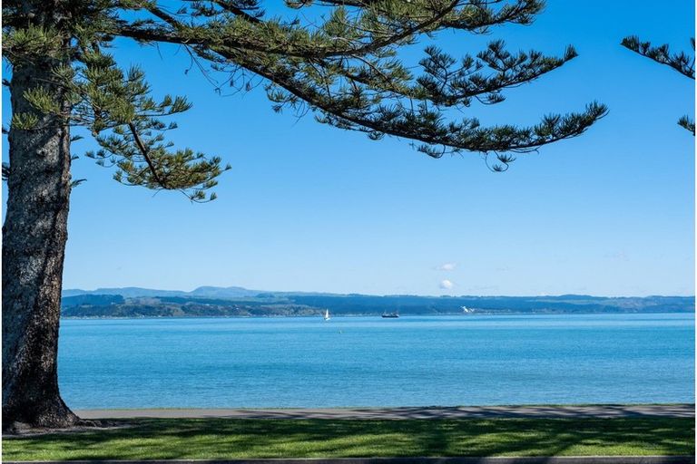 Photo of property in 45 Hardinge Road, Ahuriri, Napier, 4110