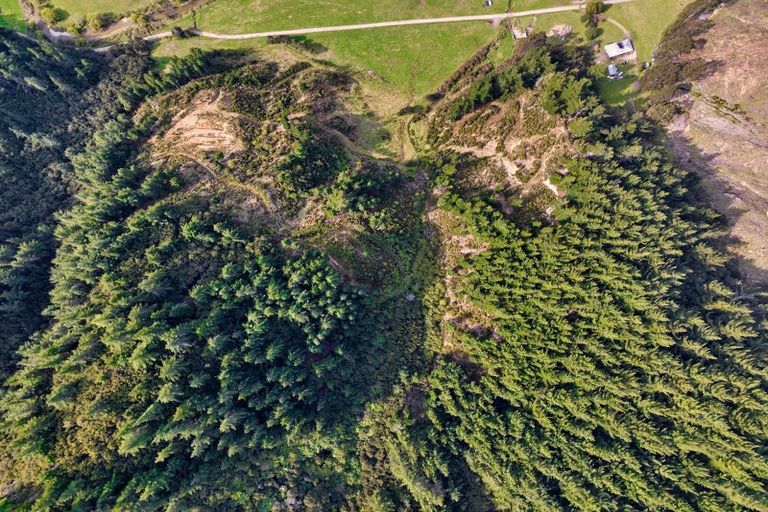 Photo of property in 895 Waikakaho Road, Tuamarina, Blenheim, 7273