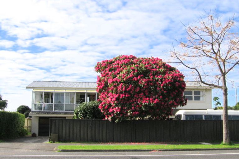 Photo of property in 245a Maungatapu Road, Maungatapu, Tauranga, 3112