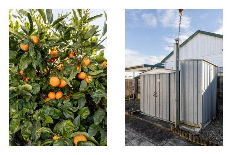 Photo of property in 24 Henderson Street, Whakatane, 3120