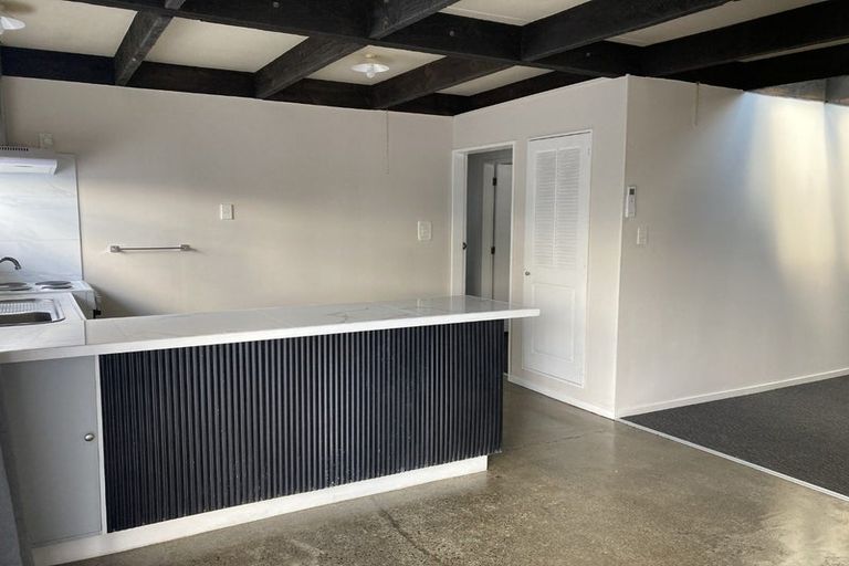 Photo of property in 119a Tiro Tiro Road, Levin, 5510