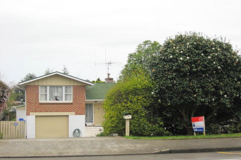 Photo of property in 19 The Avenue, Levin, 5510