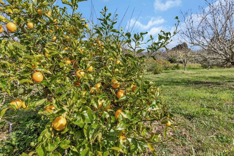 Photo of property in 9 Crawford Road, Maungakaramea, Whangarei, 0178