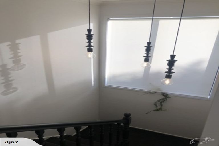 Photo of property in 17 Maple Avenue, Dinsdale, Hamilton, 3204