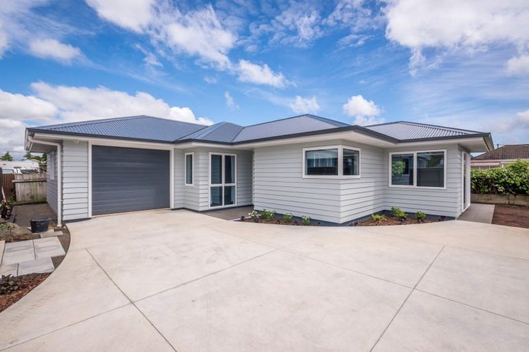 Photo of property in 93a Bartholomew Road, Levin, 5510