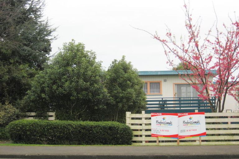 Photo of property in 16 The Avenue, Levin, 5510