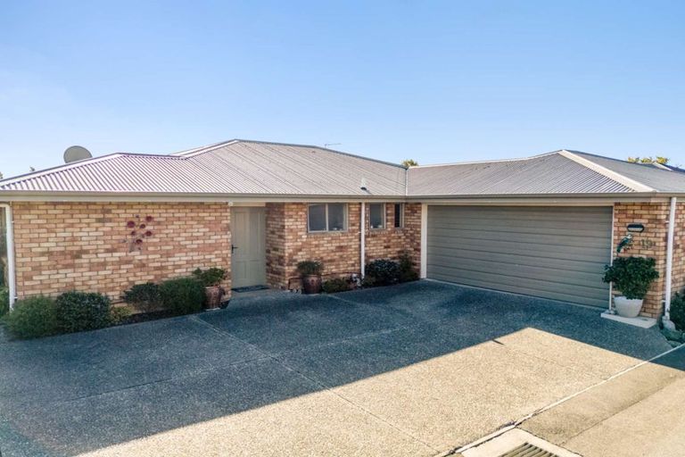 Photo of property in 19 De Castro Drive, Blenheim, 7201