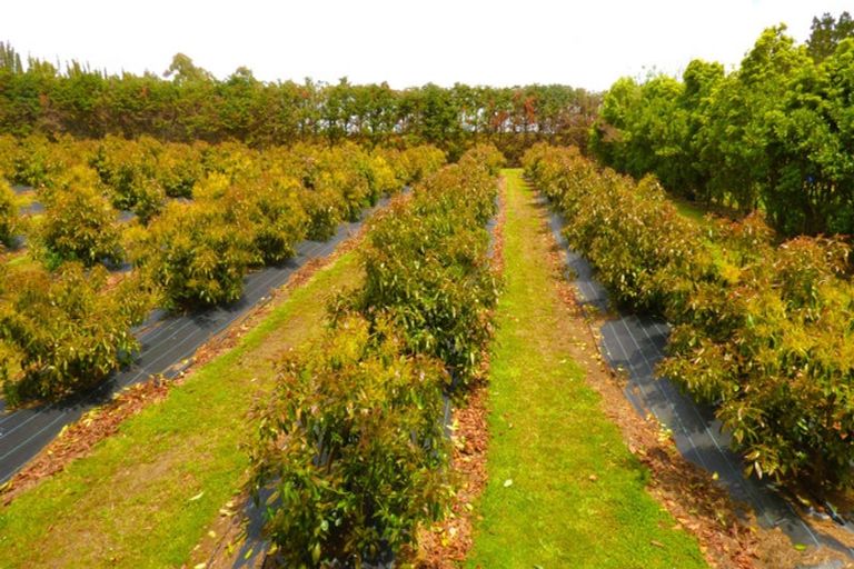 Photo of property in 42c Tyree Road, Waipapa, Kerikeri, 0295