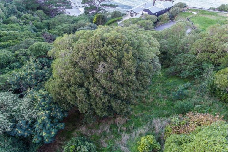 Photo of property in 58a Nevay Road, Karaka Bays, Wellington, 6022