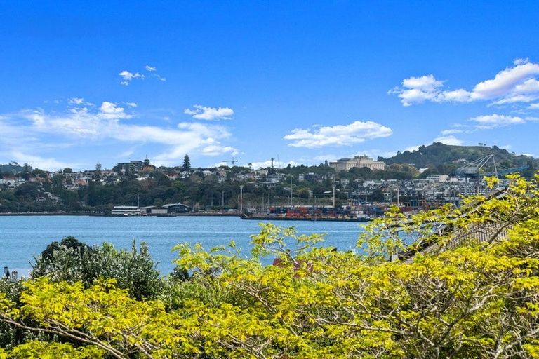 Photo of property in 11 Calliope Road, Devonport, Auckland, 0624