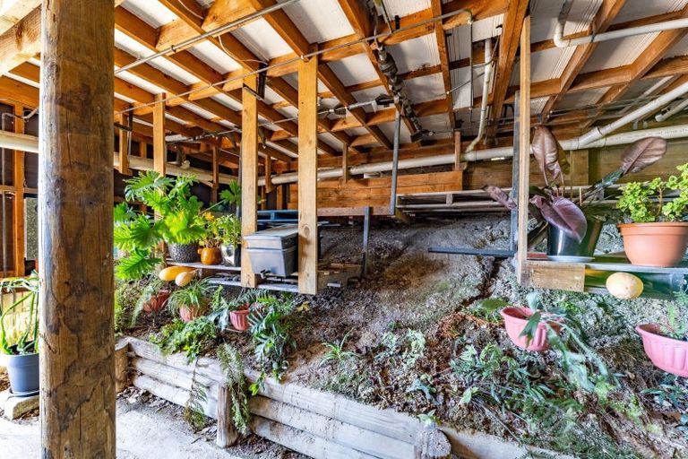 Photo of property in 149 Vanguard Street, Nelson South, Nelson, 7010