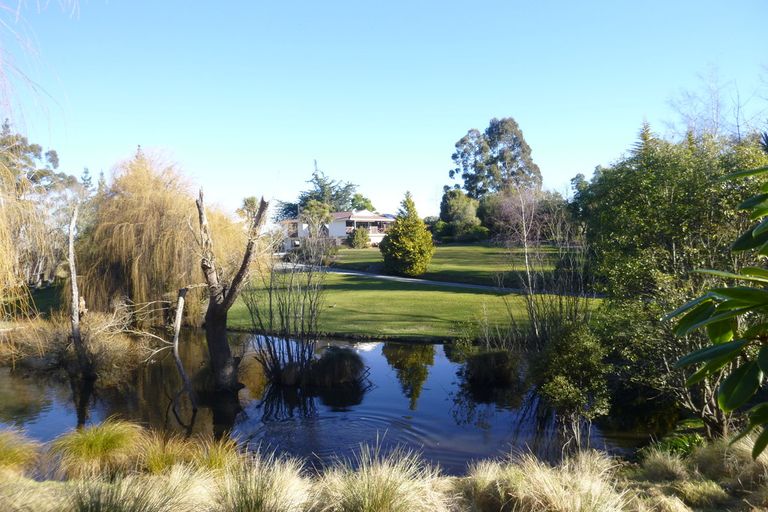 Photo of property in 99 Pye Road, Geraldine Downs, Geraldine, 7991