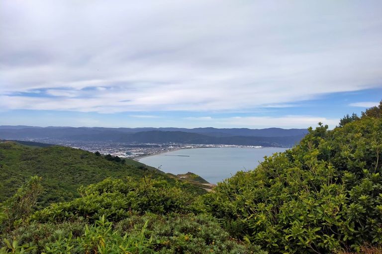 Photo of property in 35b Sunhaven Drive, Newlands, Wellington, 6037