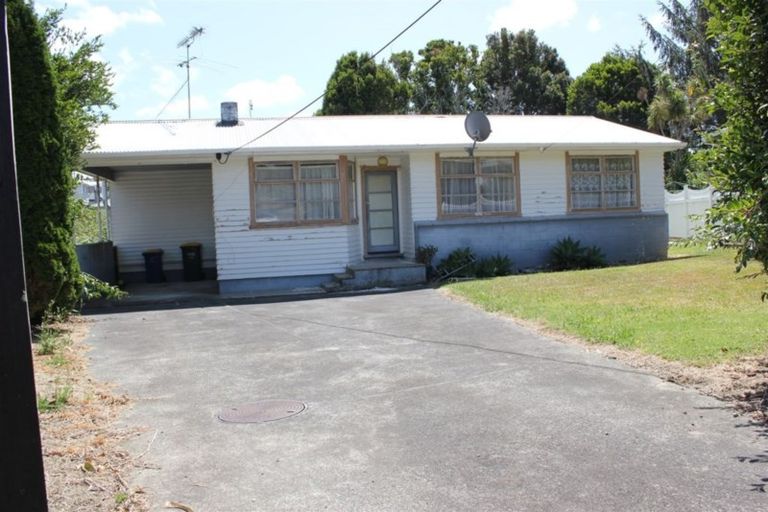 Photo of property in 24 Hinau Street, New Lynn, Auckland, 0600
