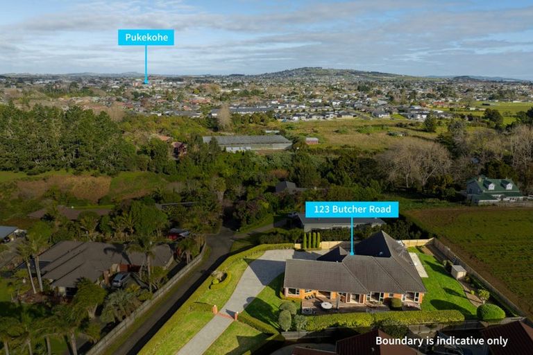 Photo of property in 123 Butcher Road, Pukekohe, 2120