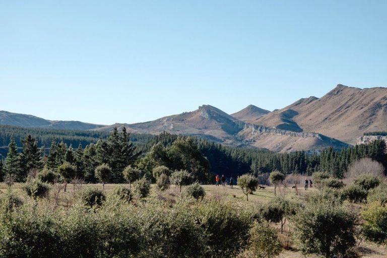 Photo of property in 101 Laidmore Road, Broomfield, 7482