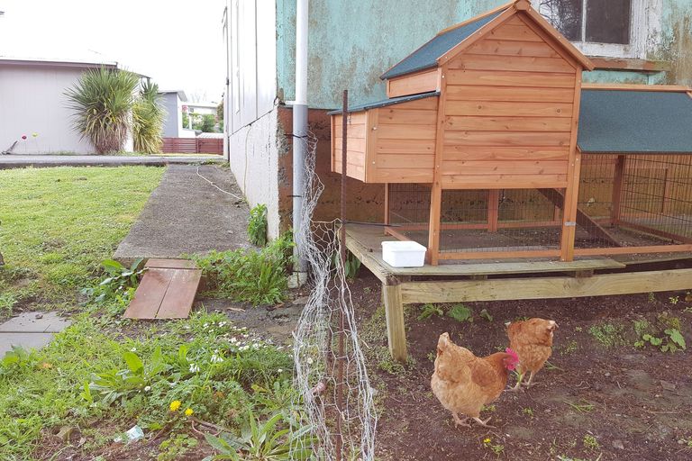 Photo of property in 28 Harrisville Road, Tuakau, 2121