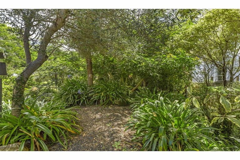 Photo of property in 27a Hill Street, Paeroa, 3600