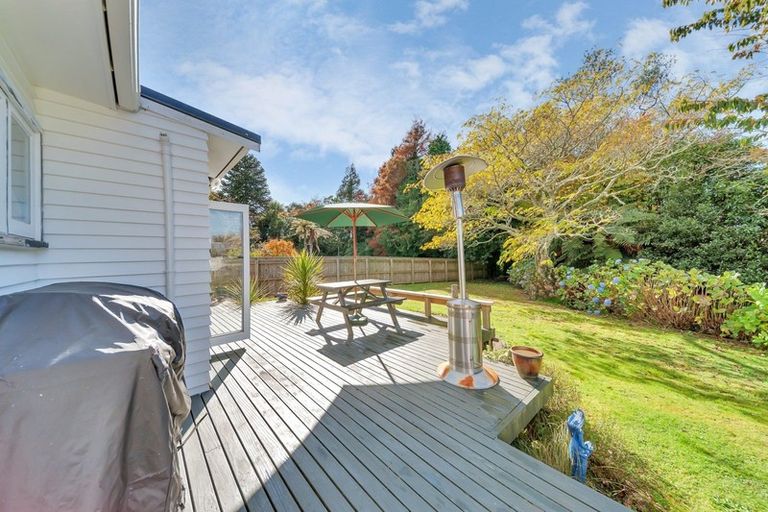 Photo of property in 6 Brecon Road, Stratford, 4332