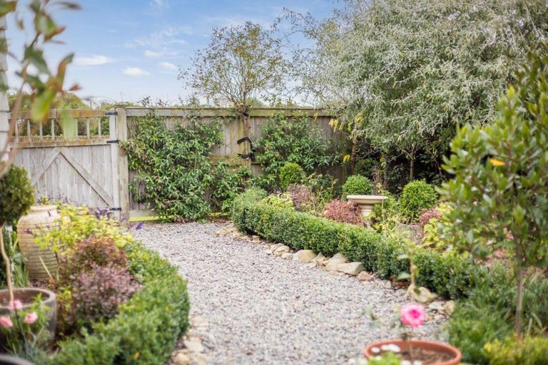 Photo of property in 19 David Street, Waikanae, 5036